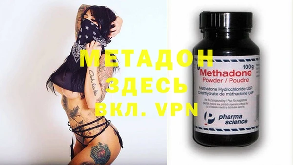 PSILOCYBIN Дмитриев