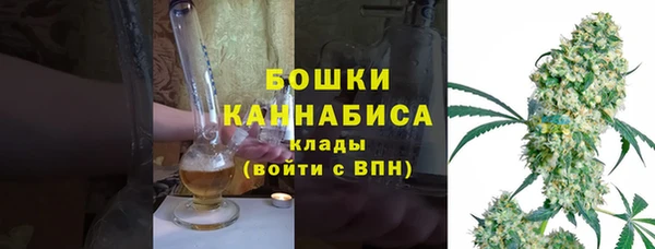 СК Дмитровск