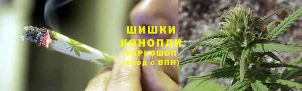СК Дмитровск