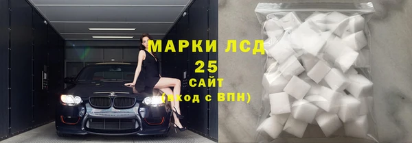 PSILOCYBIN Дмитриев