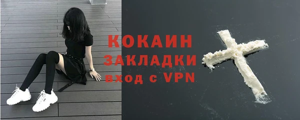 СК Дмитровск