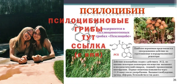 амфетамин Дмитров