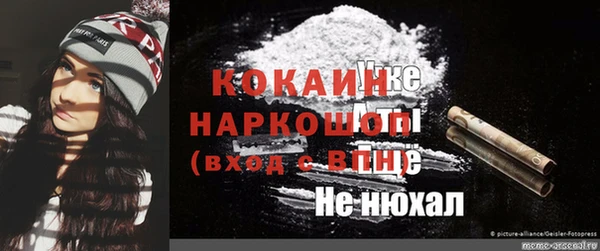 PSILOCYBIN Дмитриев